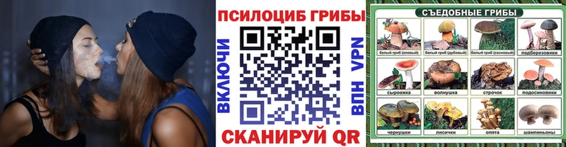Псилоцибиновые грибы Psilocybine cubensis  Чкаловск 