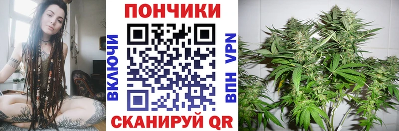 Марихуана SATIVA & INDICA  Чкаловск 